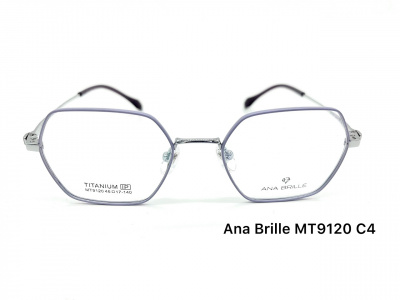 Оправа Ana Brille MT9120 C4 титан дети 2