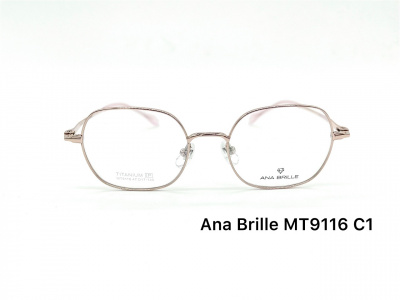 Оправа Ana Brille MT9116 C1 титан дети 2
