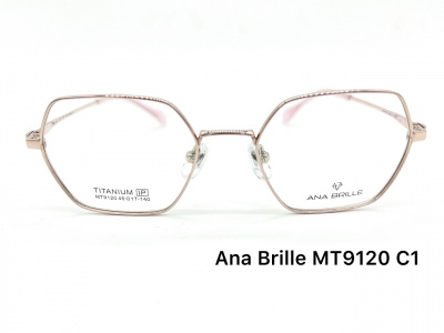 Оправа Ana Brille MT9120 C1 титан дети 2