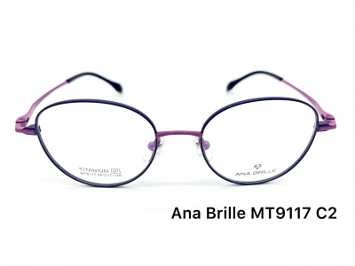 Оправа Ana Brille MT9117 C2 титан дети 2
