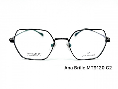 Оправа Ana Brille MT9120 C2 титан дети 2