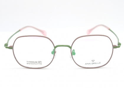 Оправа Ana Brille MT9116 C2 титан дети 2