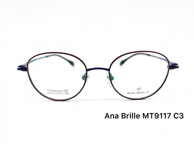 Оправа Ana Brille MT9117 C3 титан дети 2