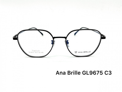 Оправа Ana Brille GL9675 C3 титан