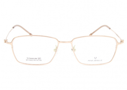 Оправа Ana Brille MTY9062 C3 титан 2