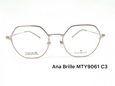 Оправа Ana Brille MTY9061 C3 титан 2