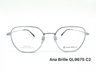 Оправа Ana Brille GL9675 C2 титан