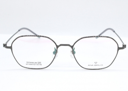 Оправа Ana Brille MTY9060 C2 титан 2