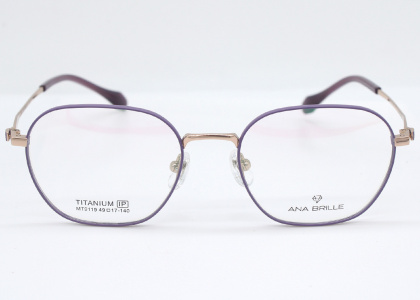 Оправа Ana Brille MT9119 C3 титан дети 2