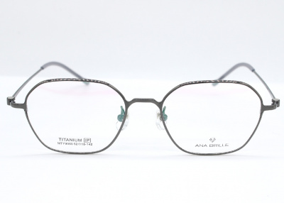 Оправа Ana Brille MTY9060 C2 титан 2