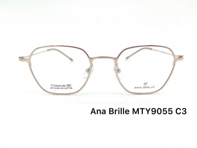 Оправа Ana Brille MTY9055 C3 титан 2