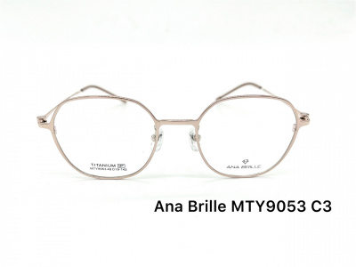Оправа Ana Brille MTY9053 C3 титан 2